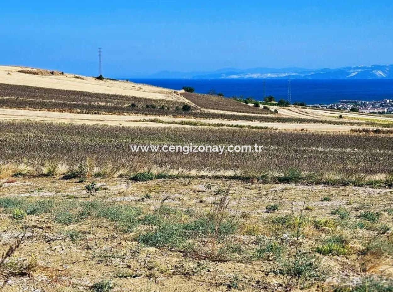 Asyaport Limanı Mevcut İmar Planı İçinde ( Ticari & Sanai ) Alanı Bölgedinde Acil Satılık 6.400 M2 Yatırım Fırsatı