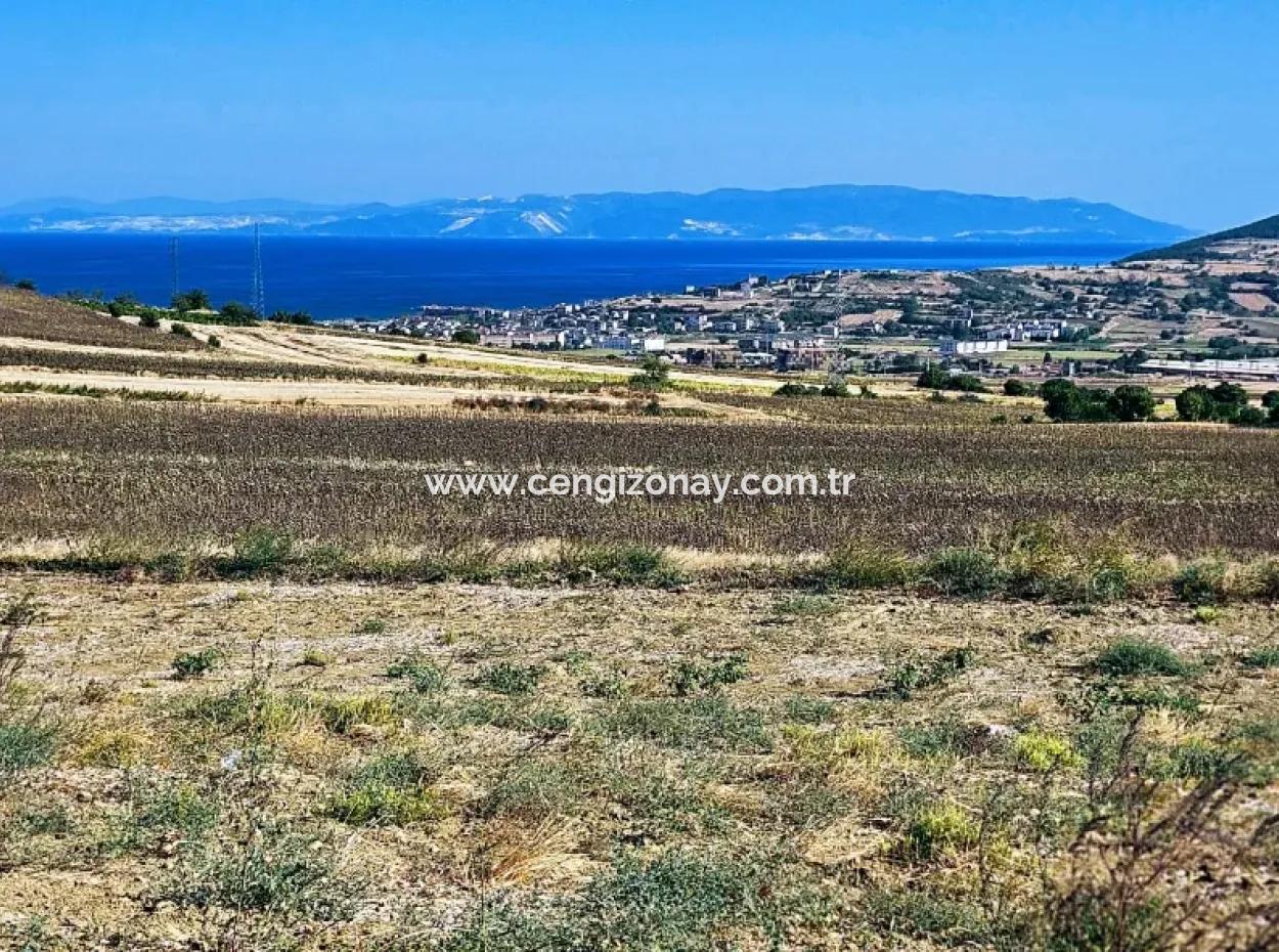 Asyaport Limanı Mevcut İmar Planı İçinde ( Ticari & Sanai ) Alanı Bölgedinde Acil Satılık 6.400 M2 Yatırım Fırsatı