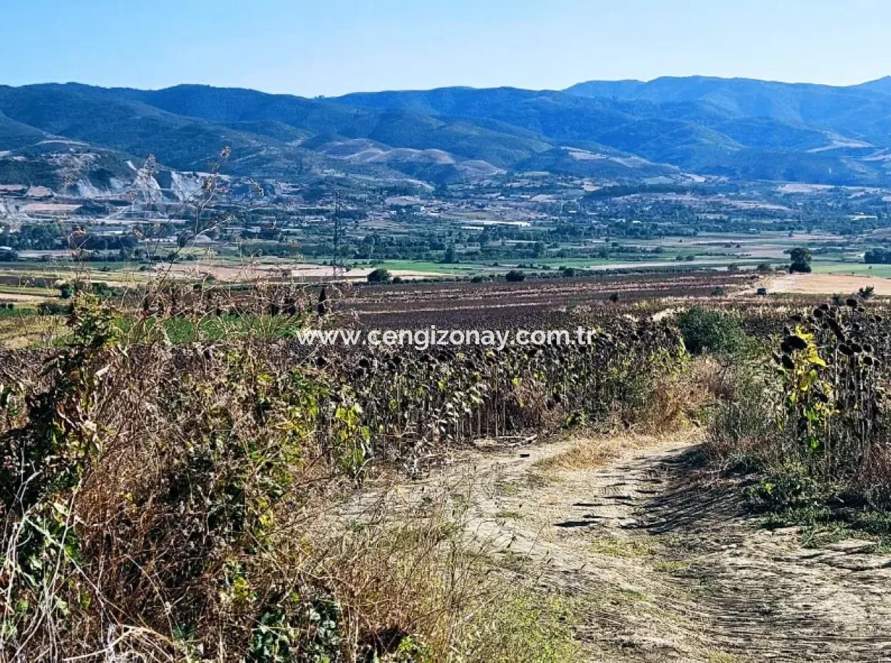 Asyaport Limanı Mevcut İmar Planı İçinde ( Ticari & Sanai ) Alanı Bölgedinde Acil Satılık 6.400 M2 Yatırım Fırsatı