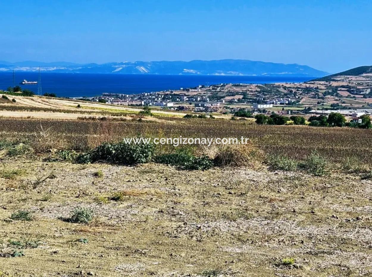 Asyaport Limanı Mevcut İmar Planı İçinde ( Ticari & Sanai ) Alanı Bölgedinde Acil Satılık 6.400 M2 Yatırım Fırsatı