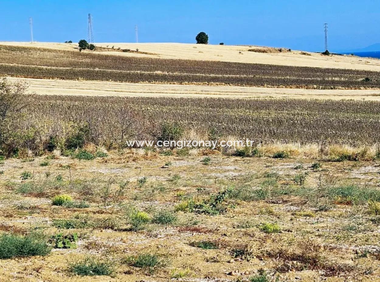 Asyaport Limanı Mevcut İmar Planı İçinde ( Ticari & Sanai ) Alanı Bölgedinde Acil Satılık 6.400 M2 Yatırım Fırsatı