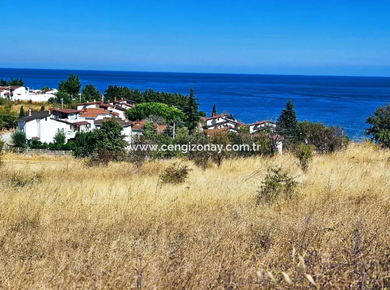 Tekirdağ Barbarosta Acil Satılık Full Deniz Manzaralı Müstakil Ev Yapmaya Uygun Kupon Arsa