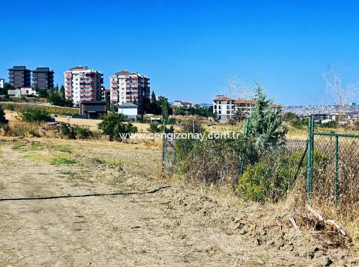 Tekirdağ Barbarosta Acil Satılık Full Deniz Manzaralı Müstakil Ev Yapmaya Uygun Kupon Arsa