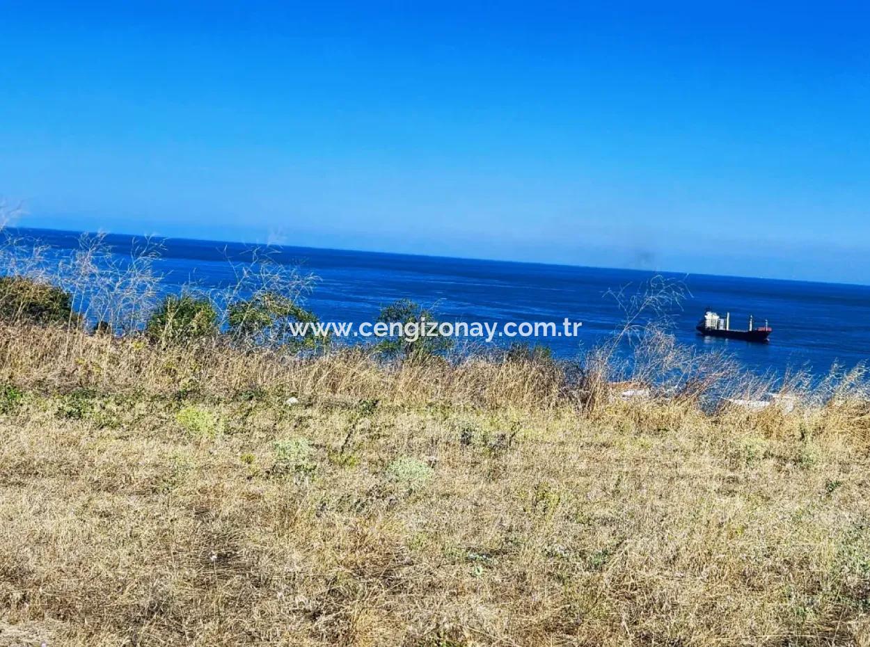 Tekirdağ Barbarosta Acil Satılık Full Deniz Manzaralı Müstakil Ev Yapmaya Uygun Kupon Arsa