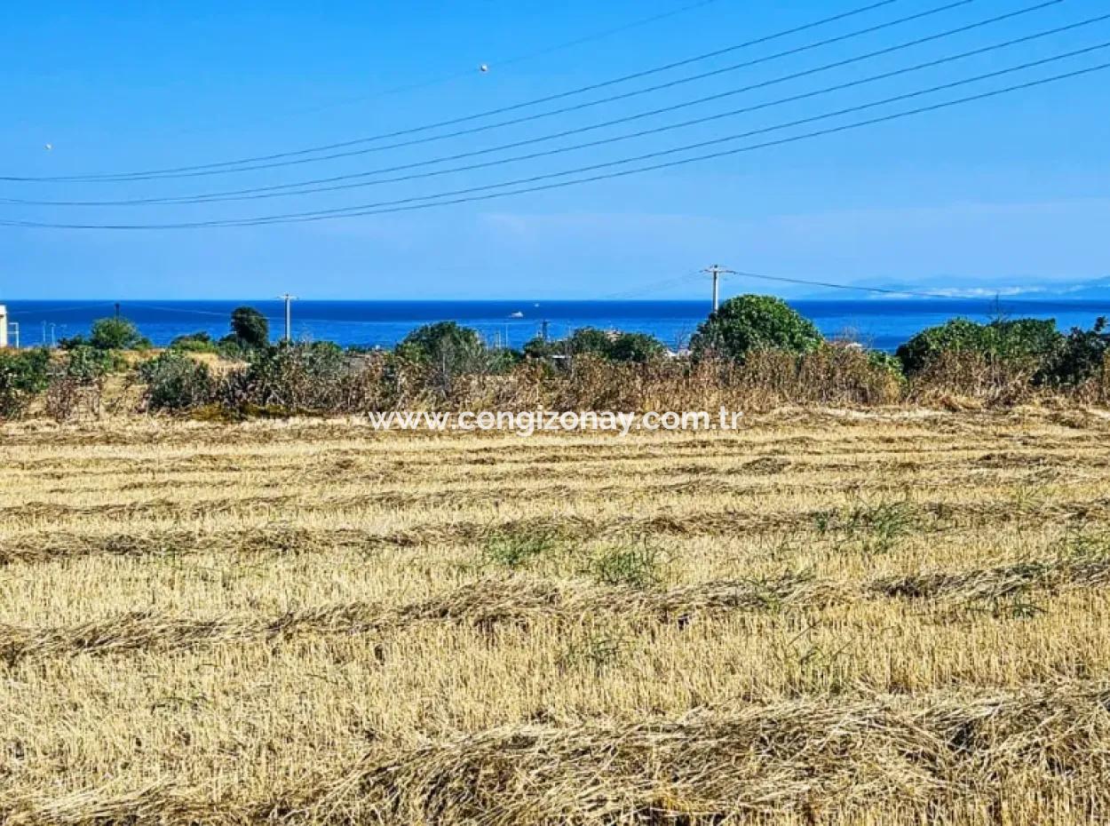 Asyaport Limanına Yakın Acil Satılık 8.500 M2 Konut İmarlı  Kupon Tarla