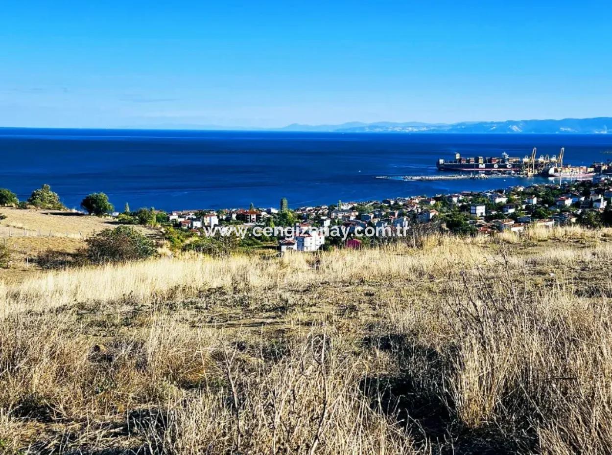 Tekirdağ Süleymanpaşa Barbaros Mahallesinde Muhteşem Deniz Ve Doğa Manzaralı Satılık 532 M2 Köşe Arsa