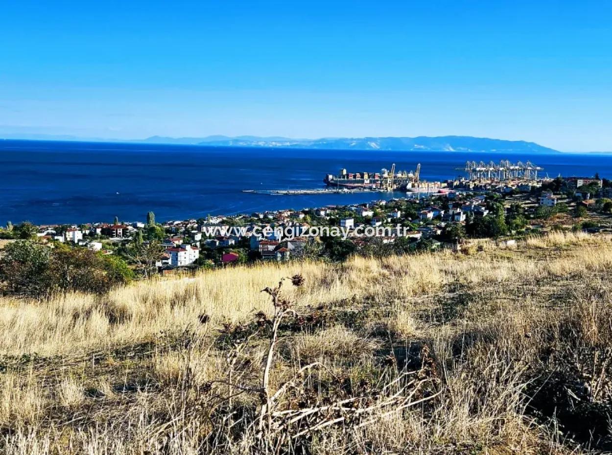 Tekirdağ Süleymanpaşa Barbaros Mahallesinde Muhteşem Deniz Ve Doğa Manzaralı Satılık 532 M2 Köşe Arsa