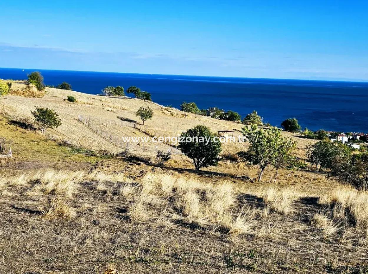 Tekirdağ Süleymanpaşa Barbaros Mahallesinde Muhteşem Deniz Ve Doğa Manzaralı Satılık 532 M2 Köşe Arsa