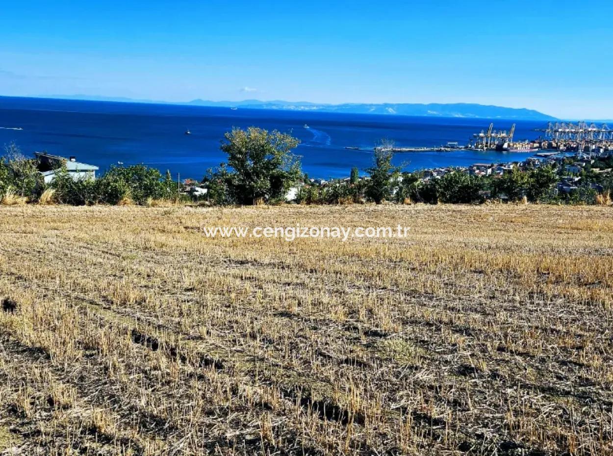 Tekirdağ Barbarosta Acil Satılık Full Deniz Manzaralı 25 Dairelik Kupon Yer