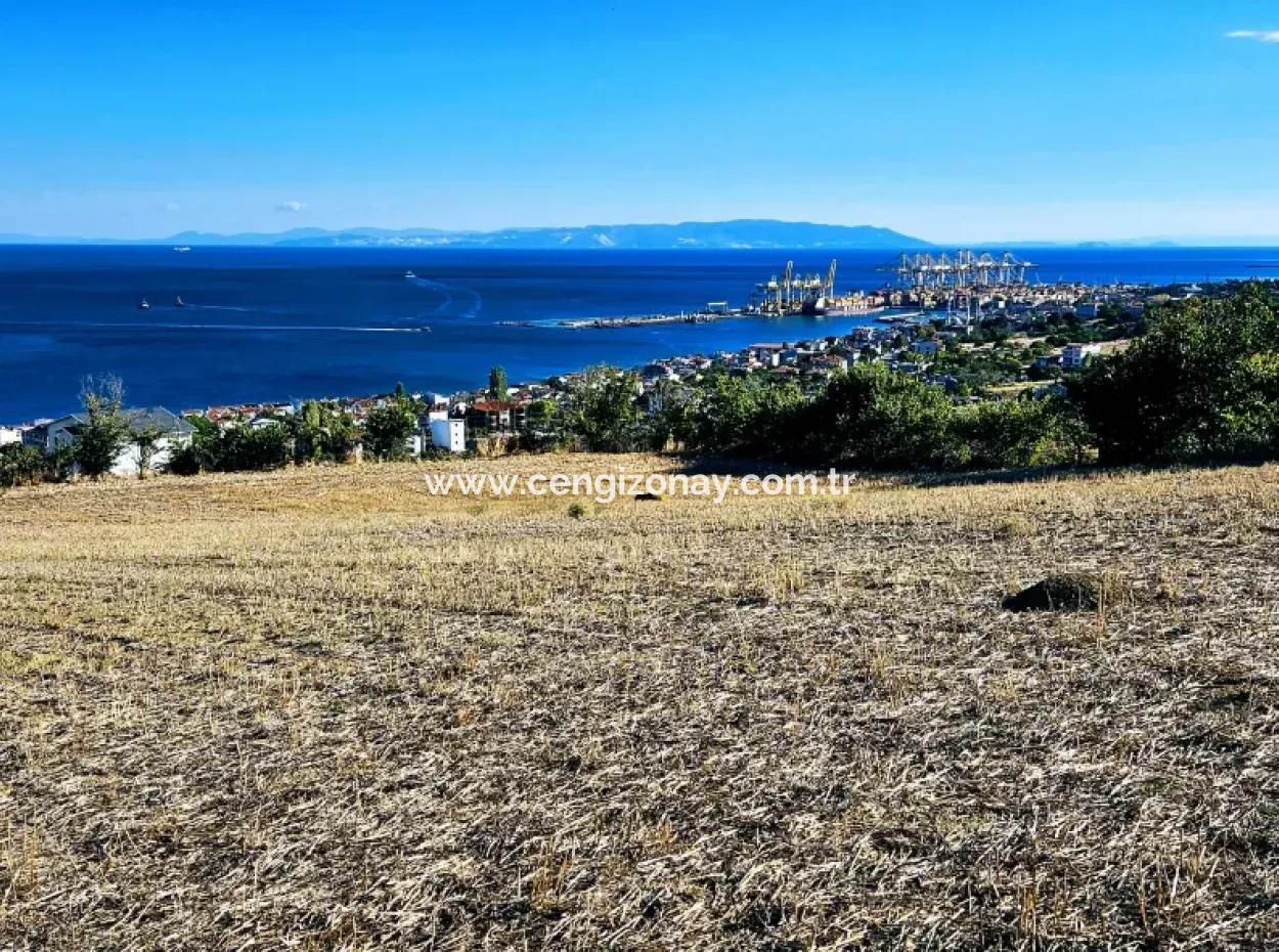 Tekirdağ Barbarosta Acil Satılık Full Deniz Manzaralı 25 Dairelik Kupon Yer