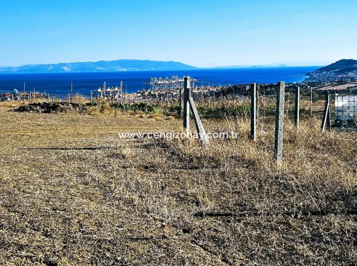 Tekirdağ Barbarosta Acil Satılık Full Deniz Manzaralı 765 M2 Kelepir Arsa