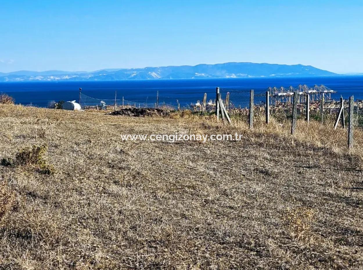 Tekirdağ Barbarosta Acil Satılık Full Deniz Manzaralı 765 M2 Kelepir Arsa