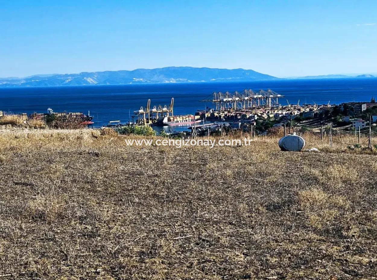 Tekirdağ Barbarosta Acil Satılık Full Deniz Manzaralı 765 M2 Kelepir Arsa