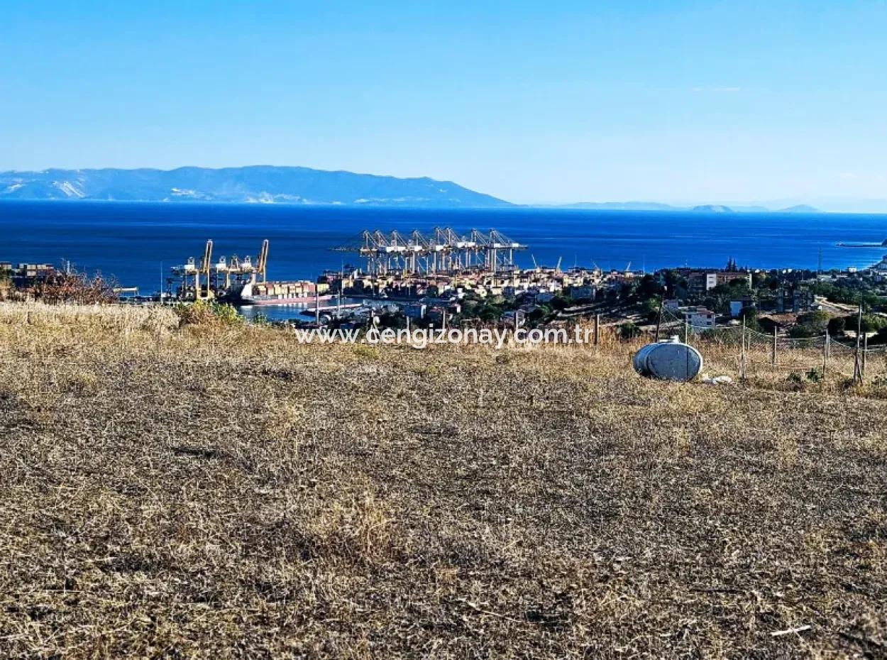 Tekirdağ Barbarosta Acil Satılık Full Deniz Manzaralı 765 M2 Kelepir Arsa