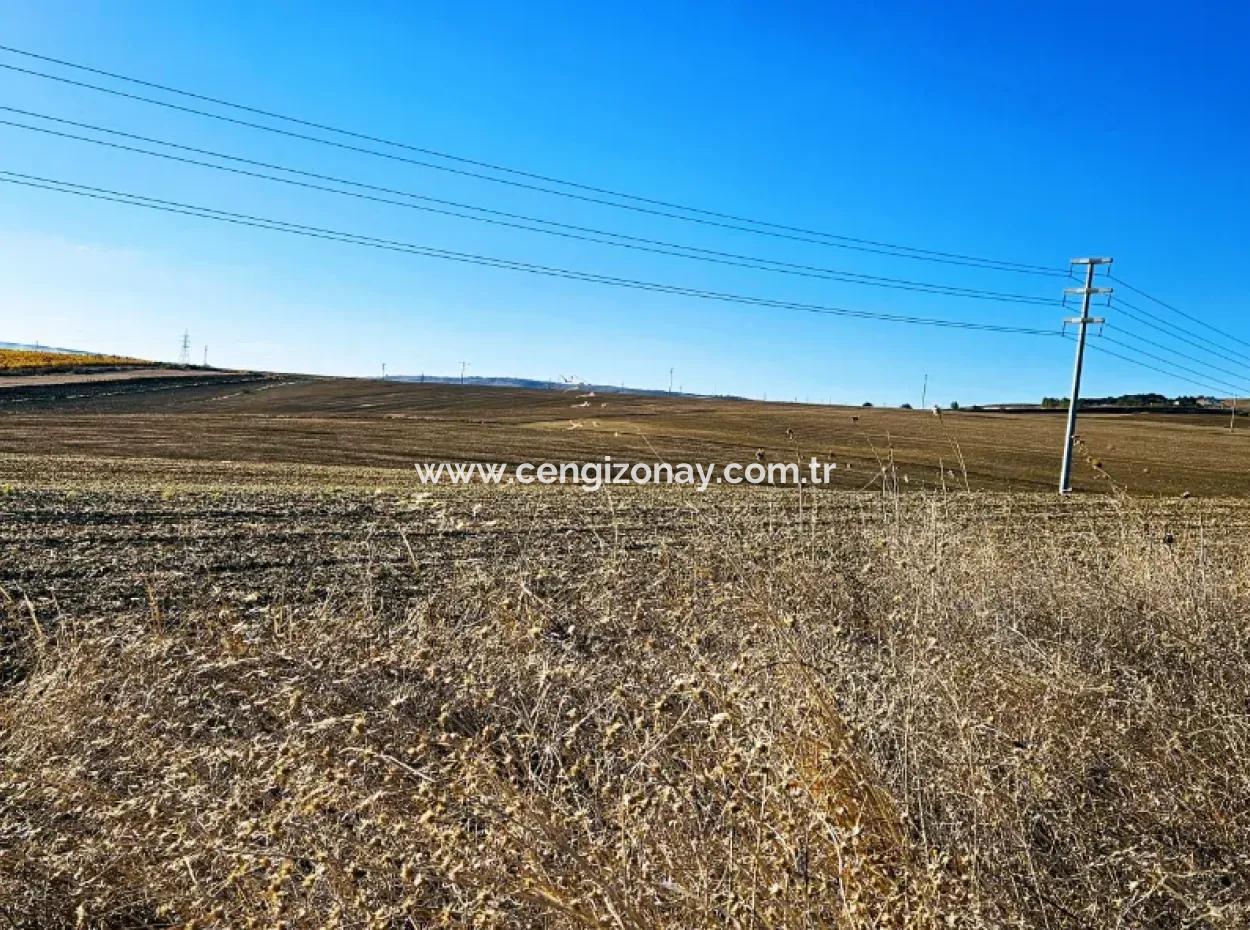 Asyaport Limanı Mevcut İmar Planı İçinde ( Ticari & Sanaii ) Alanı İçinde Anayol Cepheli 37.500 M2 Yatırım Fırsatı