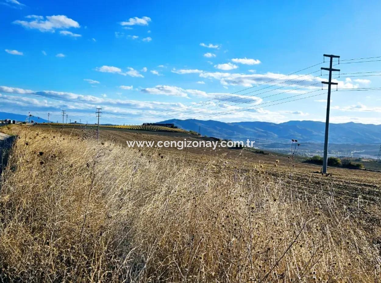 Asyaport Limanı Mevcut İmar Planı İçinde ( Ticari & Sanaii ) Alanı İçinde Anayol Cepheli 37.500 M2 Yatırım Fırsatı