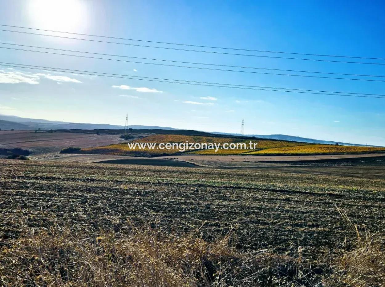 Asyaport Limanı Mevcut İmar Planı İçinde ( Ticari & Sanaii ) Alanı İçinde Anayol Cepheli 37.500 M2 Yatırım Fırsatı