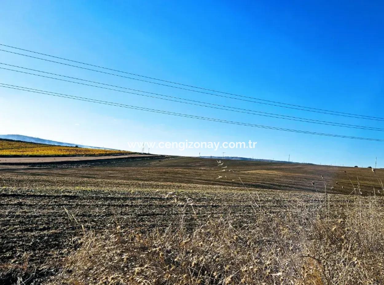 Asyaport Limanı Mevcut İmar Planı İçinde ( Ticari & Sanaii ) Alanı İçinde Anayol Cepheli 37.500 M2 Yatırım Fırsatı