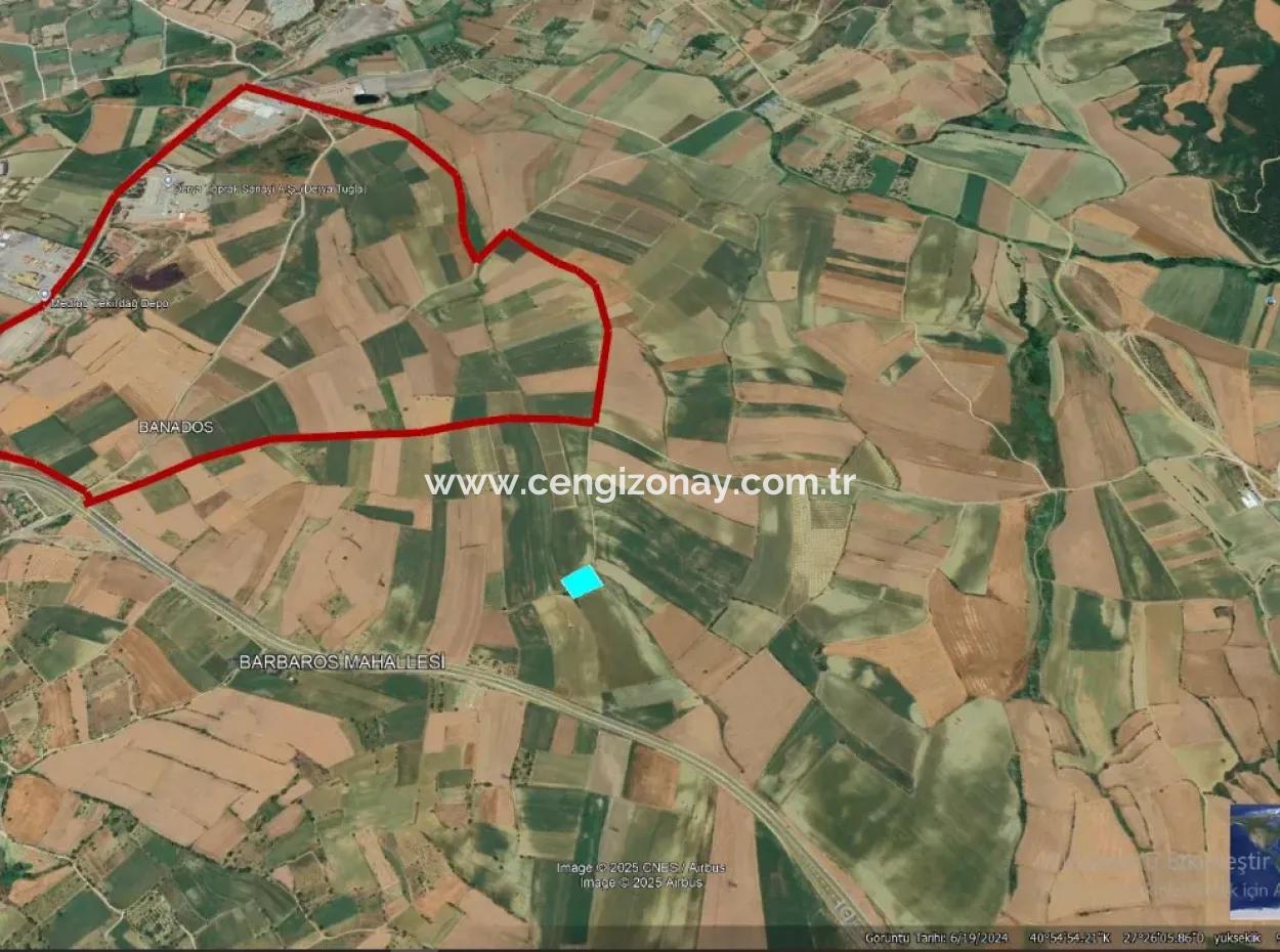 Asyaport Limanı Mevcut İmar Planı İçinde ( Ticari & Sanai ) Alanı Bölgedinde Acil Satılık 6.400 M2 Yatırım Fırsatı