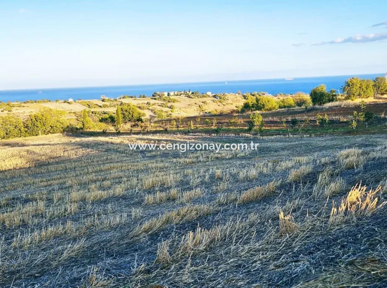 Asyaport Limanı Mevcut İmar Planı İçinde Yatırımcısına Yüksek Kazanç Garantisi Fırsat Arazi