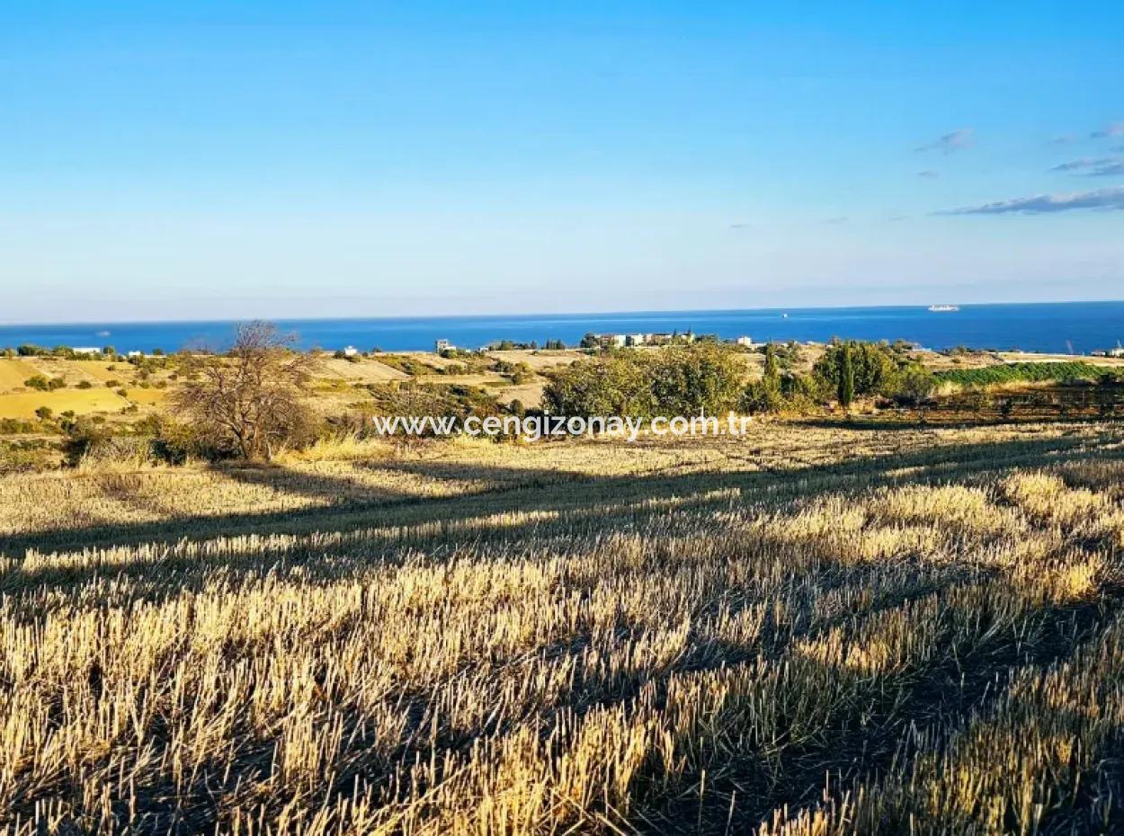 Asyaport Limanı Mevcut İmar Planı İçinde Yatırımcısına Yüksek Kazanç Garantisi Fırsat Arazi