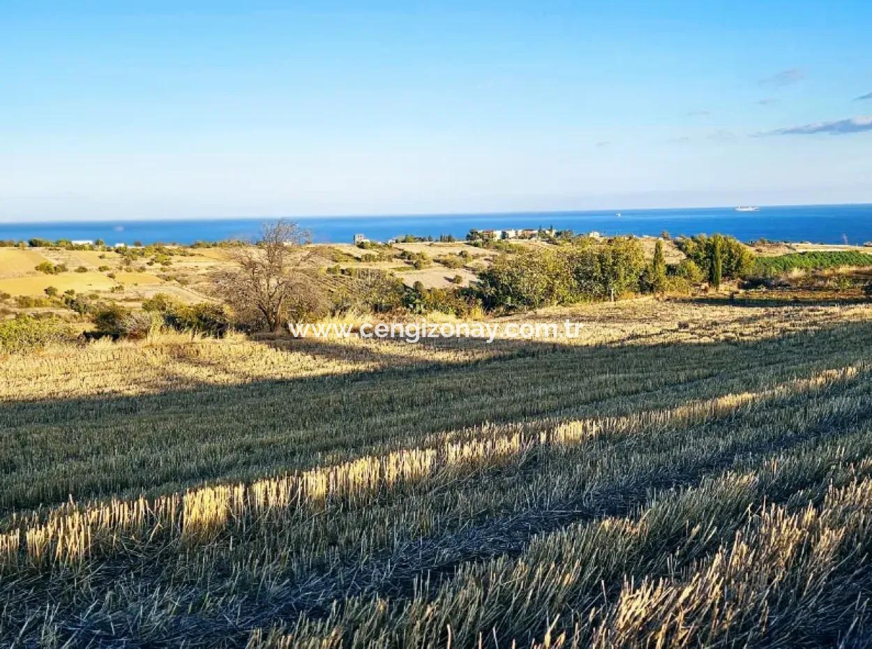 Asyaport Limanı Mevcut İmar Planı İçinde Yatırımcısına Yüksek Kazanç Garantisi Fırsat Arazi