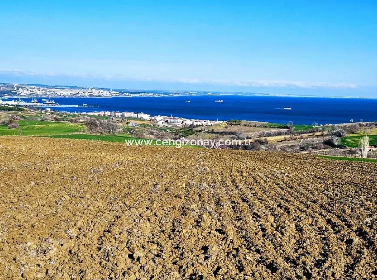 Tekirdağ Barbarosta Lüxs Villa Projeni Yap. Mütahitlere Kat Karşılığı Ver  Yüksek Kazanç Sağla Full Deniz Manzaralı Villa İmarlı Arazi