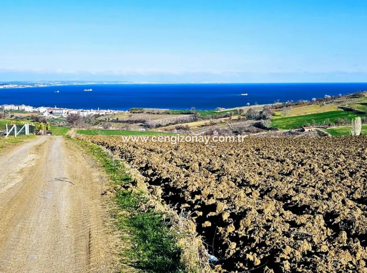 Tekirdağ Barbarosta Lüxs Villa Projeni Yap. Mütahitlere Kat Karşılığı Ver  Yüksek Kazanç Sağla Full Deniz Manzaralı Villa İmarlı Arazi