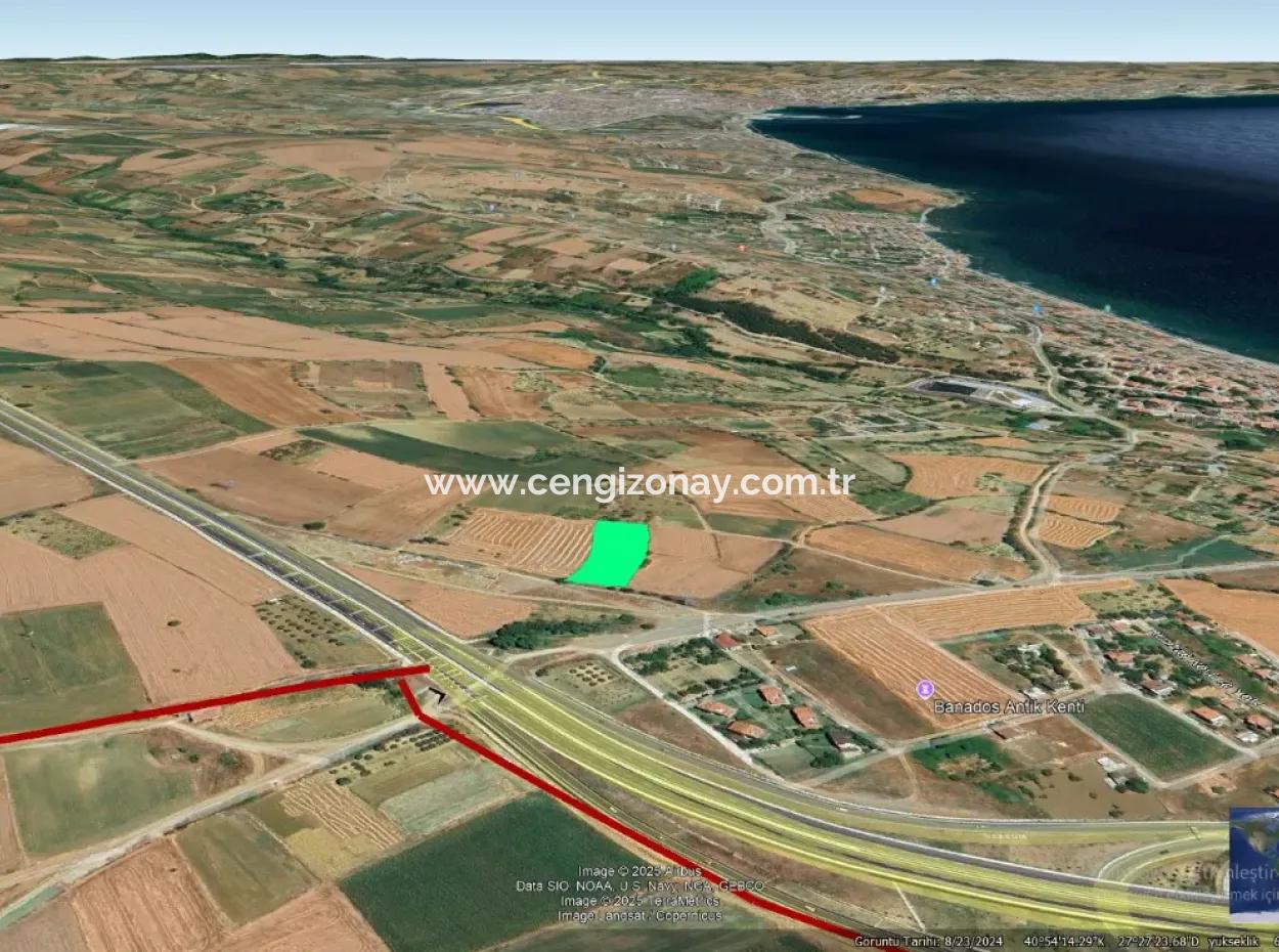 Asyaport Limanına Sadece 1 Km Yakınlıkta Acil Satılık 4.150 M2 Konut İmarlı Tarla