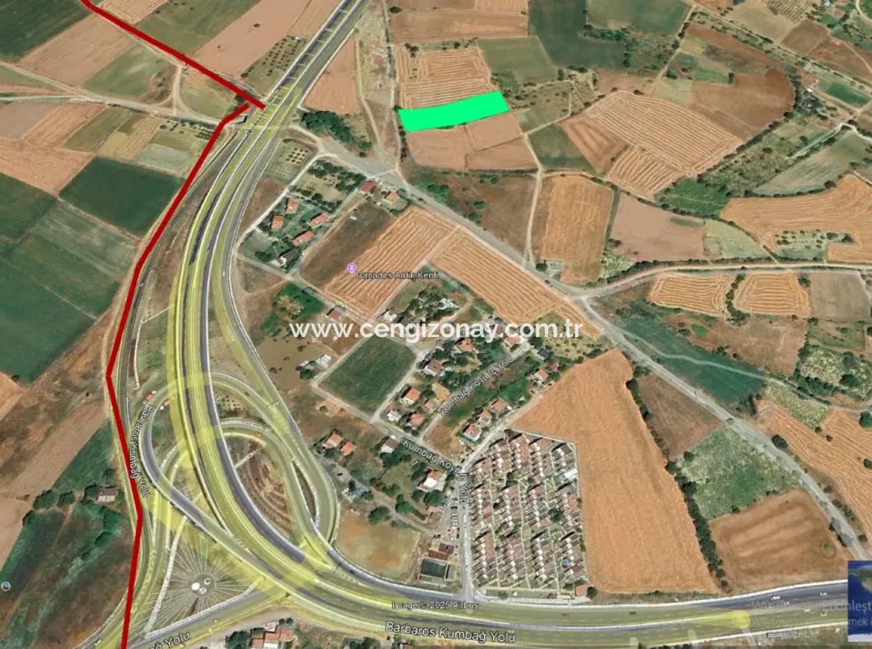 Asyaport Limanına Sadece 1 Km Yakınlıkta Acil Satılık 4.150 M2 Konut İmarlı Tarla