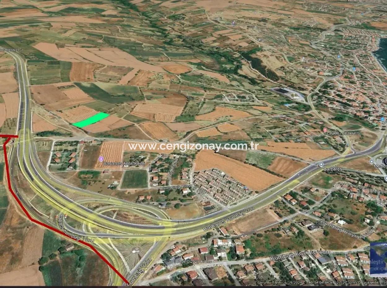 Asyaport Limanına Sadece 1 Km Yakınlıkta Acil Satılık 4.150 M2 Konut İmarlı Tarla