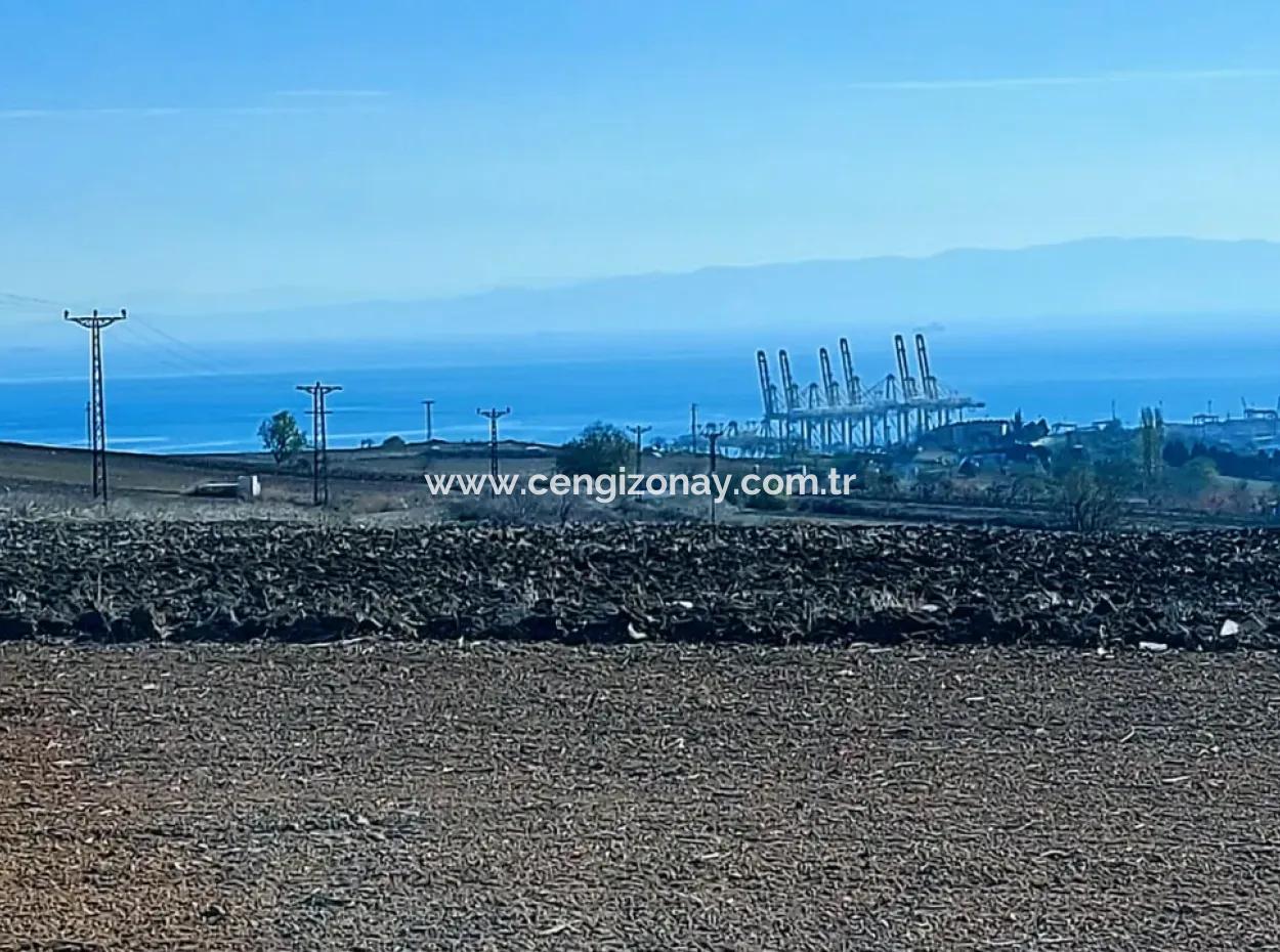 Acil Satılık Fabrikalar Bölgesinde 5.400 M2 Yüksek Kazanç Garantisi Fırsat Yer