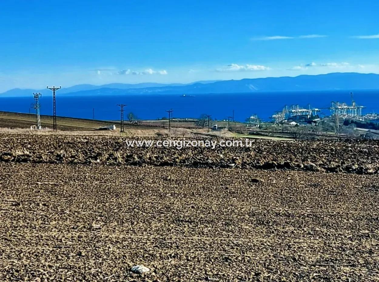 Acil Satılık Fabrikalar Bölgesinde 5.400 M2 Yüksek Kazanç Garantisi Fırsat Yer