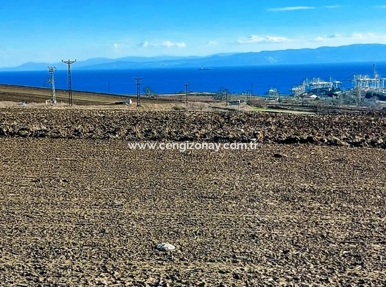 Acil Satılık Fabrikalar Bölgesinde 5.400 M2 Yüksek Kazanç Garantisi Fırsat Yer