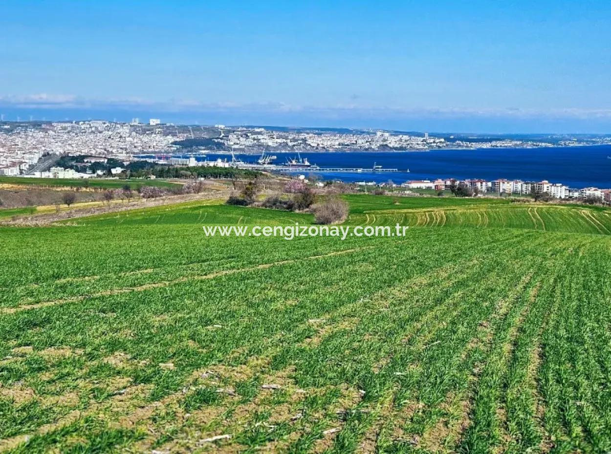 İstanbula En Yakın Bölge Tekirdağ Barbarost Full Deniz Ve Doğa Manzaralı 75 Adet Lüxs Villa Lar Yapmaya Uygun 34.500 Fırsat İmarlı Arazi