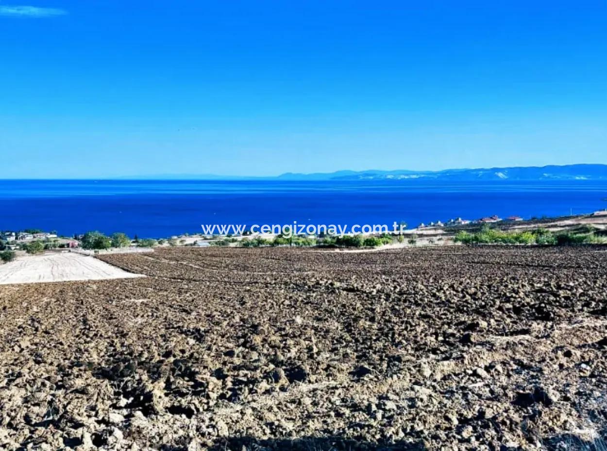 Yüksek Kazanç Garantisi 44 Dairelik Toplu Konut Alanı Yatırımını Yap Mütahitlere Ver Karını İkiye Katla