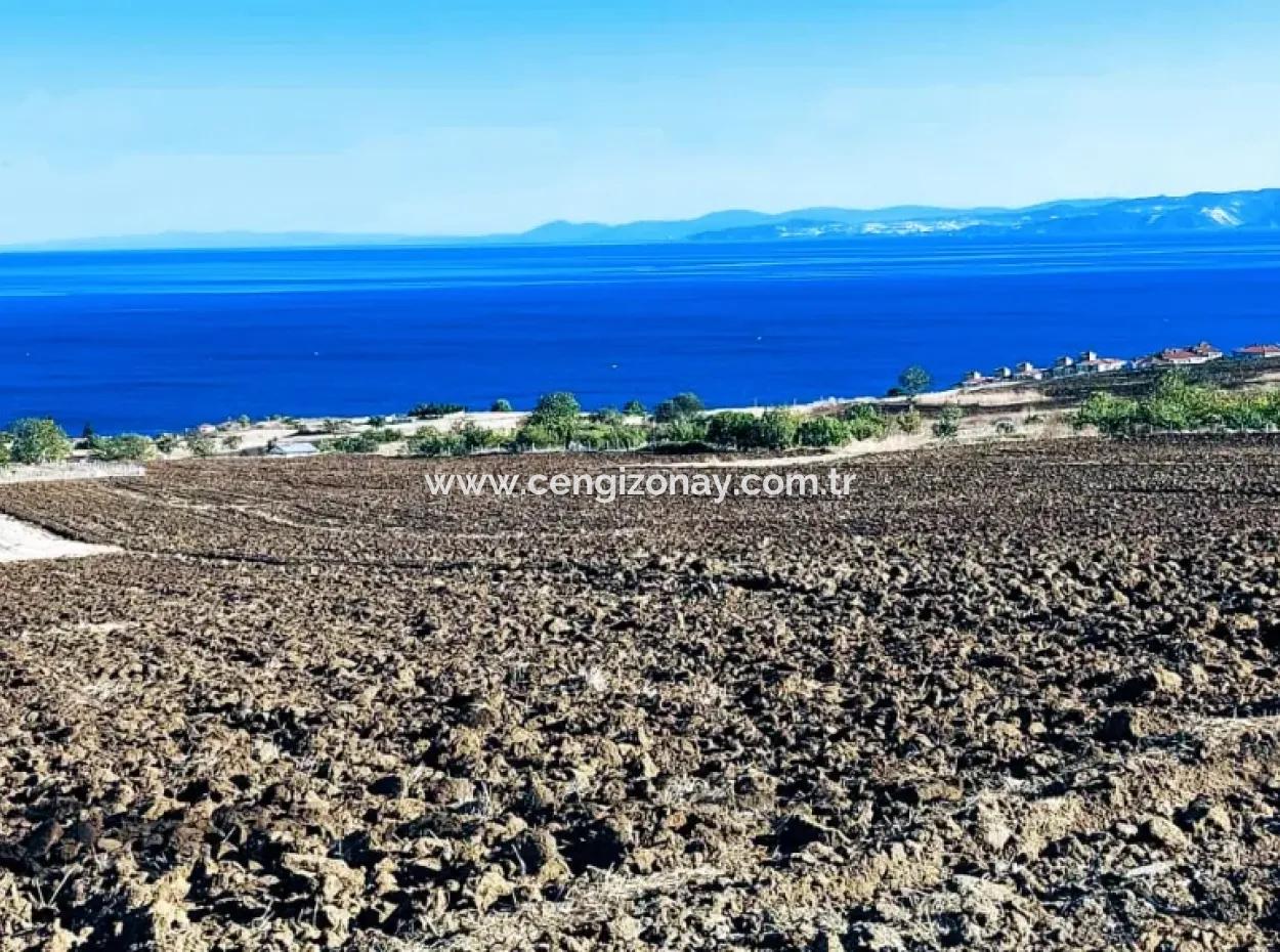 Yüksek Kazanç Garantisi 44 Dairelik Toplu Konut Alanı Yatırımını Yap Mütahitlere Ver Karını İkiye Katla