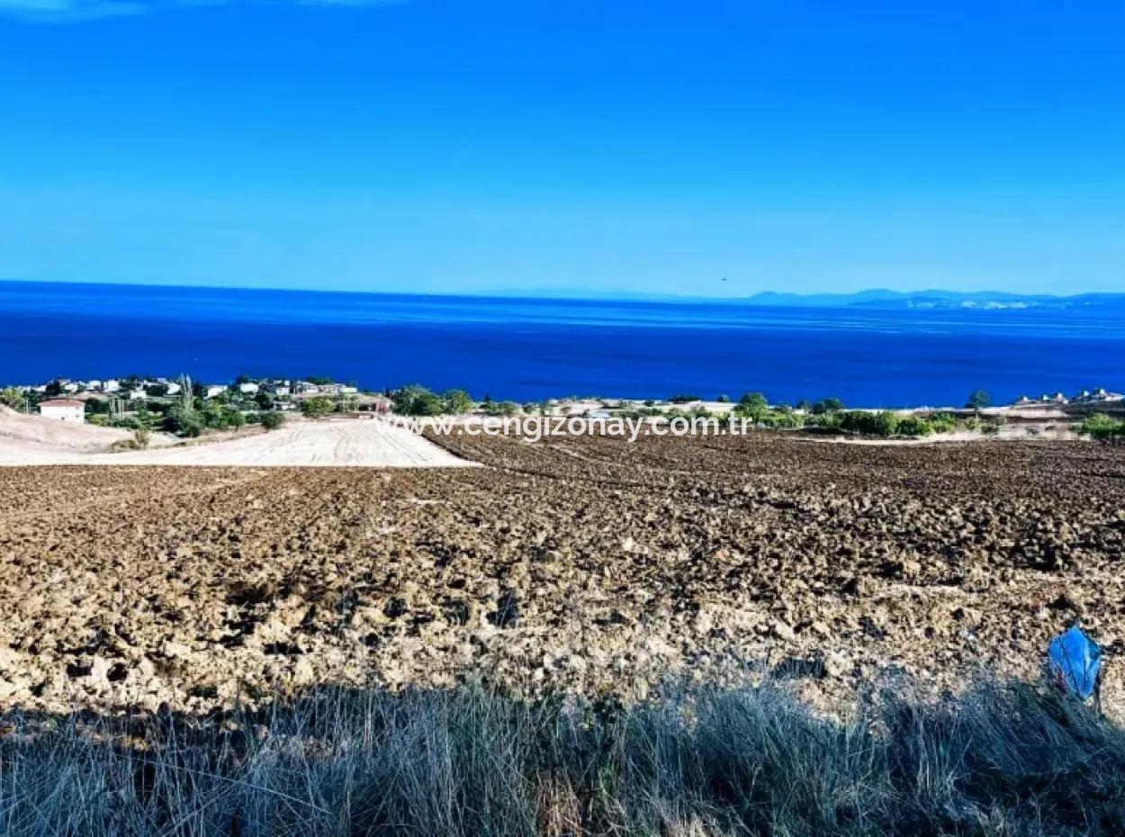 Yüksek Kazanç Garantisi 44 Dairelik Toplu Konut Alanı Yatırımını Yap Mütahitlere Ver Karını İkiye Katla