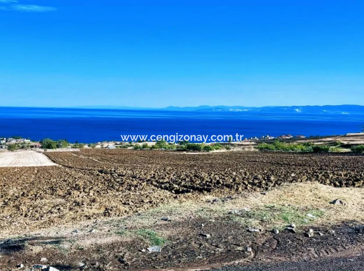 Yüksek Kazanç Garantisi 44 Dairelik Toplu Konut Alanı Yatırımını Yap Mütahitlere Ver Karını İkiye Katla