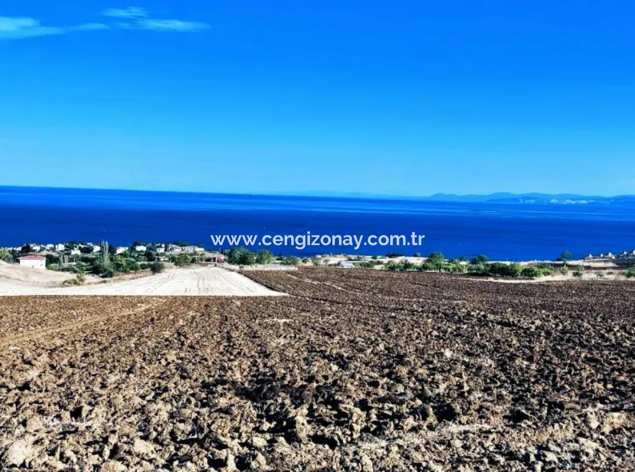 Yüksek Kazanç Garantisi 44 Dairelik Toplu Konut Alanı Yatırımını Yap Mütahitlere Ver Karını İkiye Katla