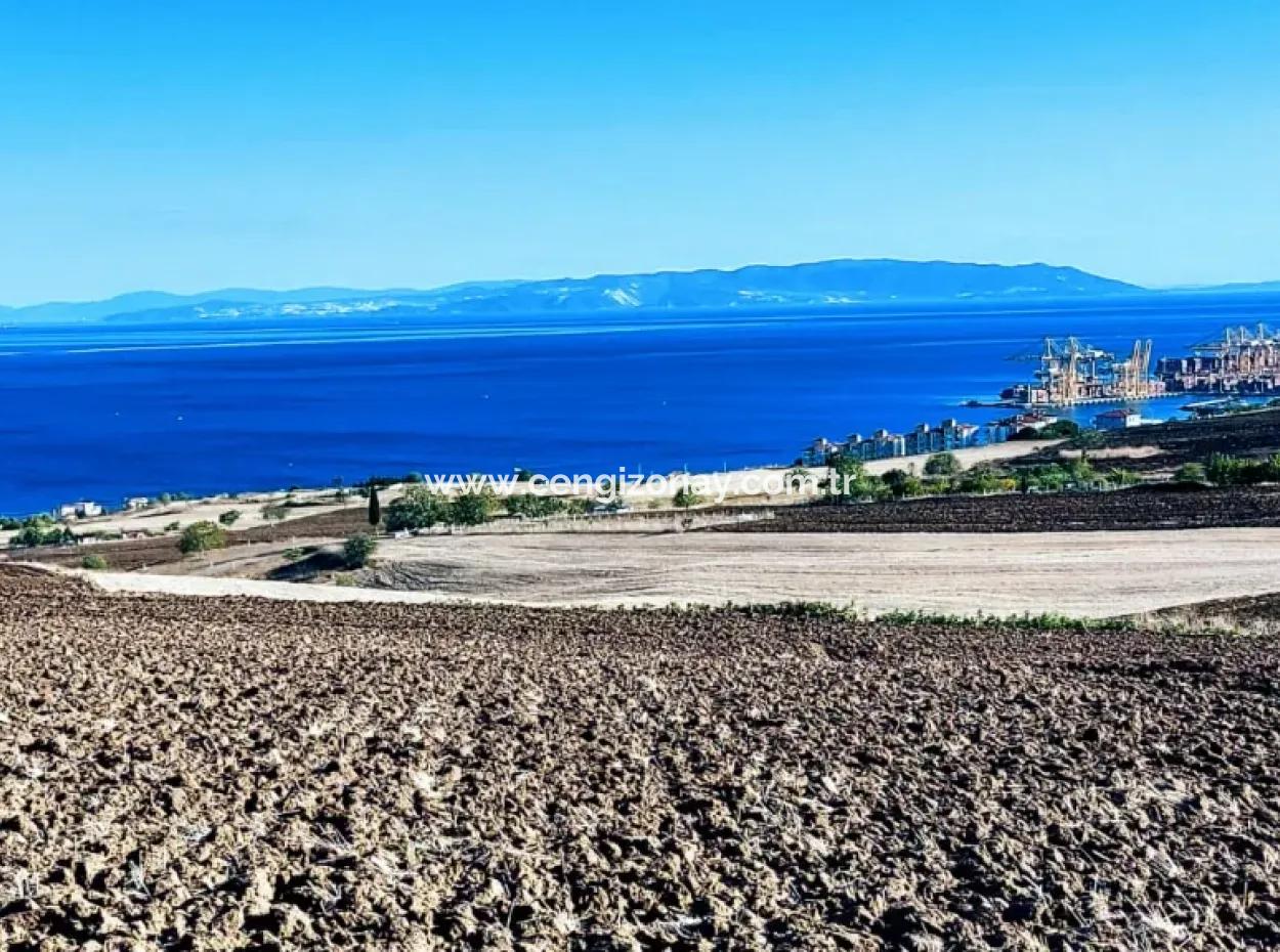 Yüksek Kazanç Garantisi 44 Dairelik Toplu Konut Alanı Yatırımını Yap Mütahitlere Ver Karını İkiye Katla