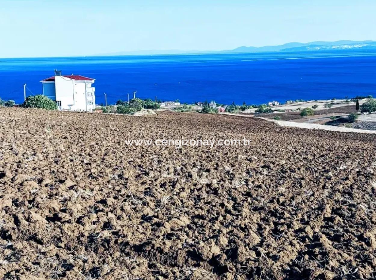 Yüksek Kazanç Garantisi 44 Dairelik Toplu Konut Alanı Yatırımını Yap Mütahitlere Ver Karını İkiye Katla