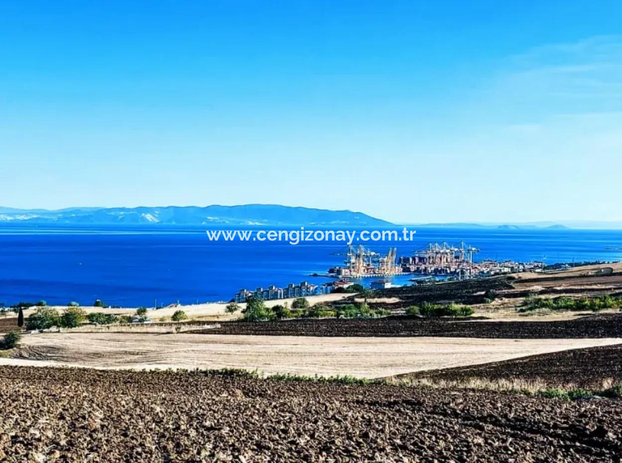 Yüksek Kazanç Garantisi 44 Dairelik Toplu Konut Alanı Yatırımını Yap Mütahitlere Ver Karını İkiye Katla