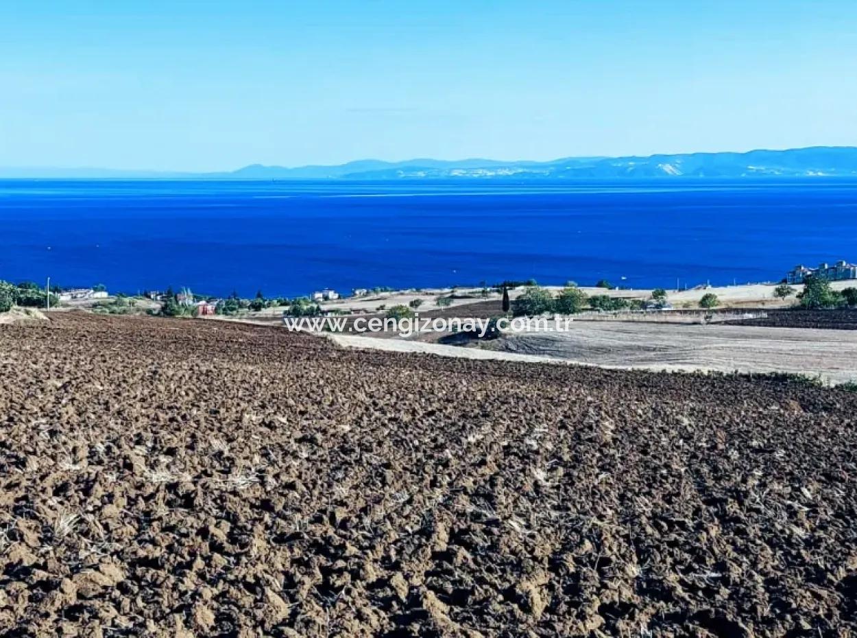 Yüksek Kazanç Garantisi 44 Dairelik Toplu Konut Alanı Yatırımını Yap Mütahitlere Ver Karını İkiye Katla