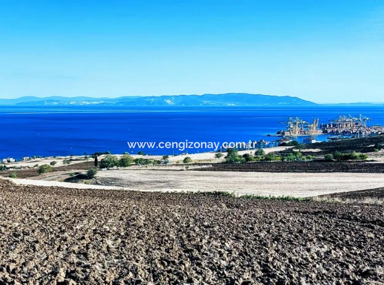 Yüksek Kazanç Garantisi 44 Dairelik Toplu Konut Alanı Yatırımını Yap Mütahitlere Ver Karını İkiye Katla