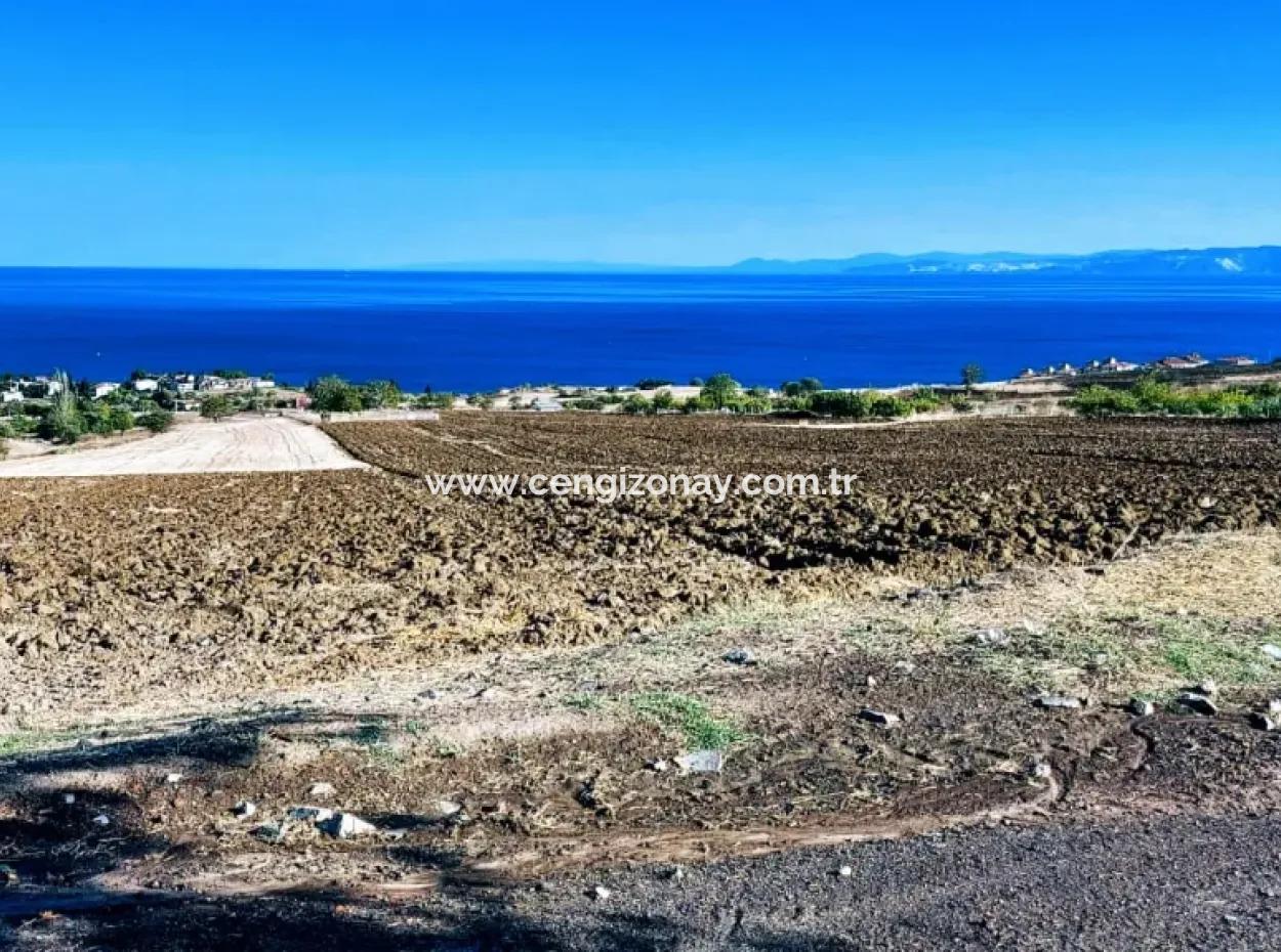 Yüksek Kazanç Garantisi 44 Dairelik Toplu Konut Alanı Yatırımını Yap Mütahitlere Ver Karını İkiye Katla