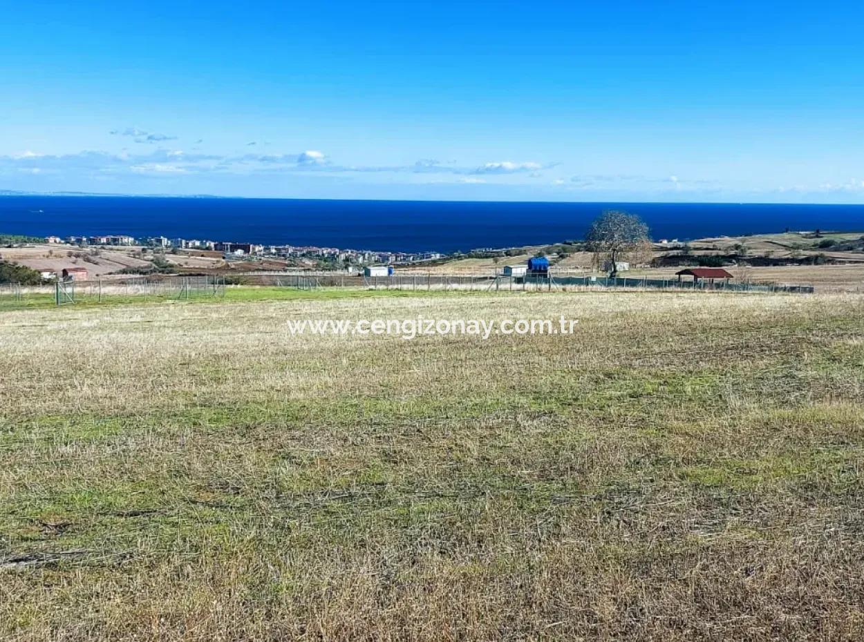 Acil Satılık Lüxs Villa Projesi Uygula Yüksek Kaznç Sağla Yerin Konumu Muhteşem Tamamen Full Deniz Ve Doğa Manzaralı