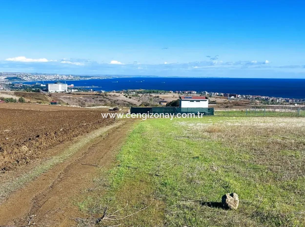 Acil Satılık Lüxs Villa Projesi Uygula Yüksek Kaznç Sağla Yerin Konumu Muhteşem Tamamen Full Deniz Ve Doğa Manzaralı