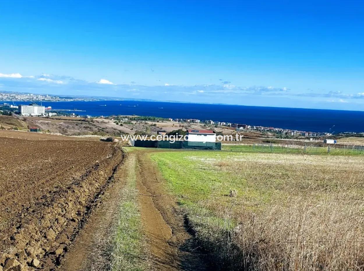 Acil Satılık Lüxs Villa Projesi Uygula Yüksek Kaznç Sağla Yerin Konumu Muhteşem Tamamen Full Deniz Ve Doğa Manzaralı