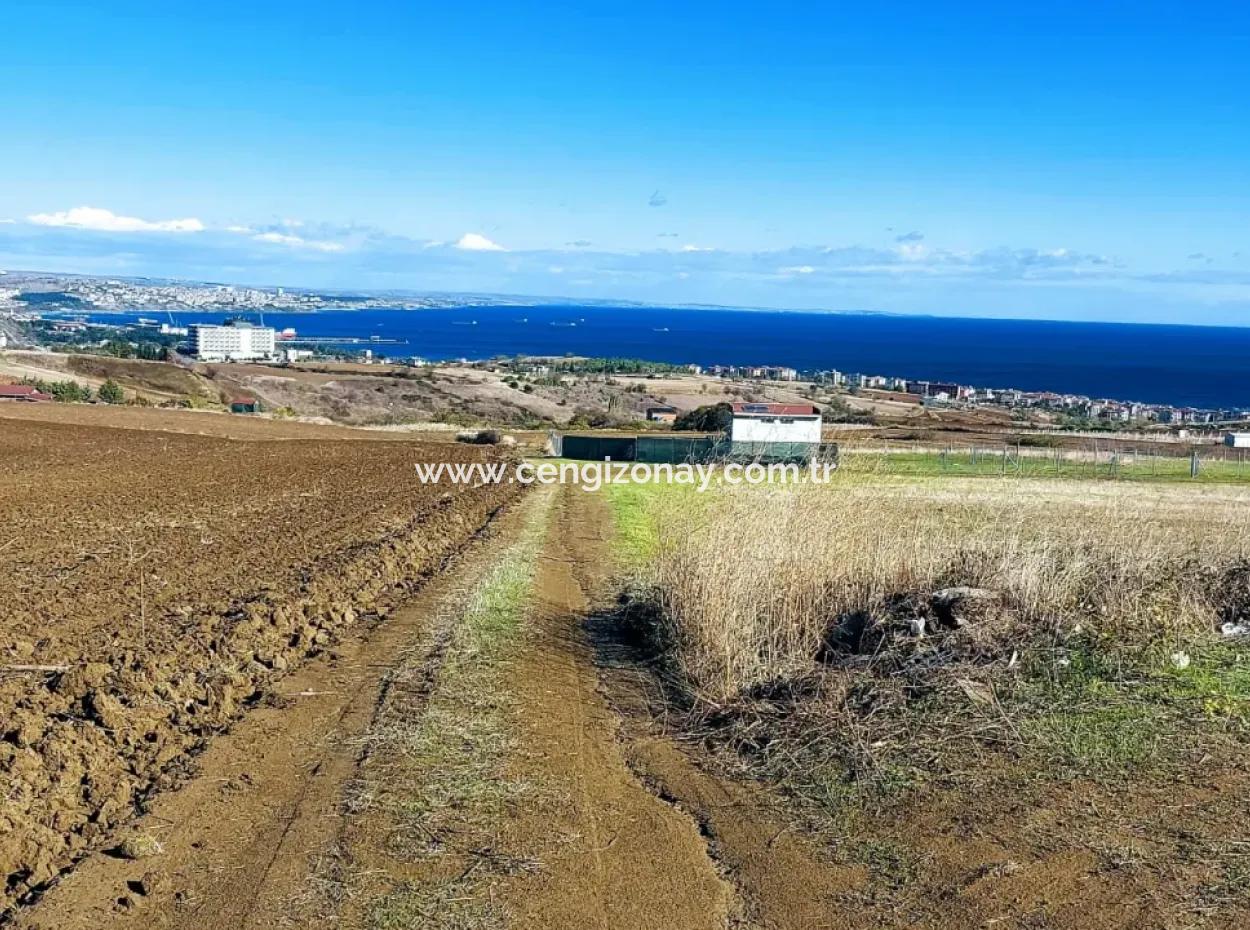 Acil Satılık Lüxs Villa Projesi Uygula Yüksek Kaznç Sağla Yerin Konumu Muhteşem Tamamen Full Deniz Ve Doğa Manzaralı